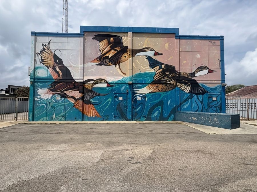 Wild ducks in flight painted on the fire station in San Nicolas